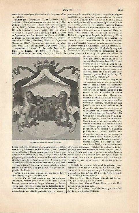 LAMINA ESPASA 31593: Armas del Duque de Castro Enriquez