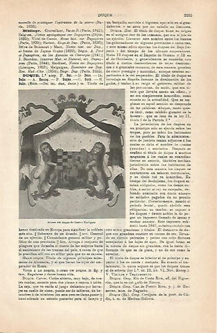 LAMINA ESPASA 31593: Armas del Duque de Castro Enriquez