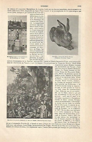 LAMINA ESPASA 31621: La liebre dibujo de A. Durero