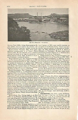 LAMINA ESPASA 31632: Molinos de Eau-Claire Estados Unidos