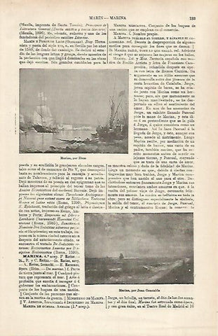 LAMINA ESPASA 31678: Marina por Ziem