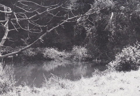 POSTAL B11010: IMAGEN DE PRADO. BLANCO Y NEGRO. INDETERMINADO
