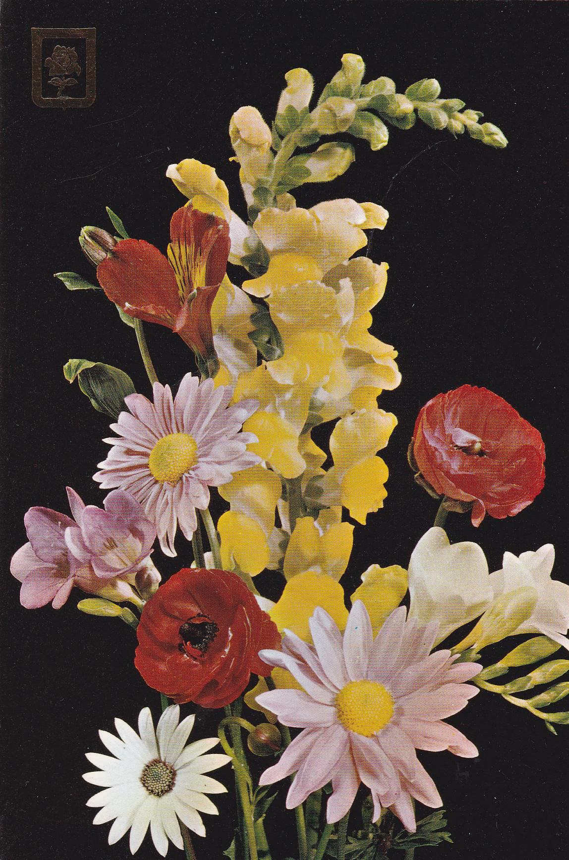 POSTAL B11058: BODEGON DE FLORES: DIVERSOS ASPECTOS