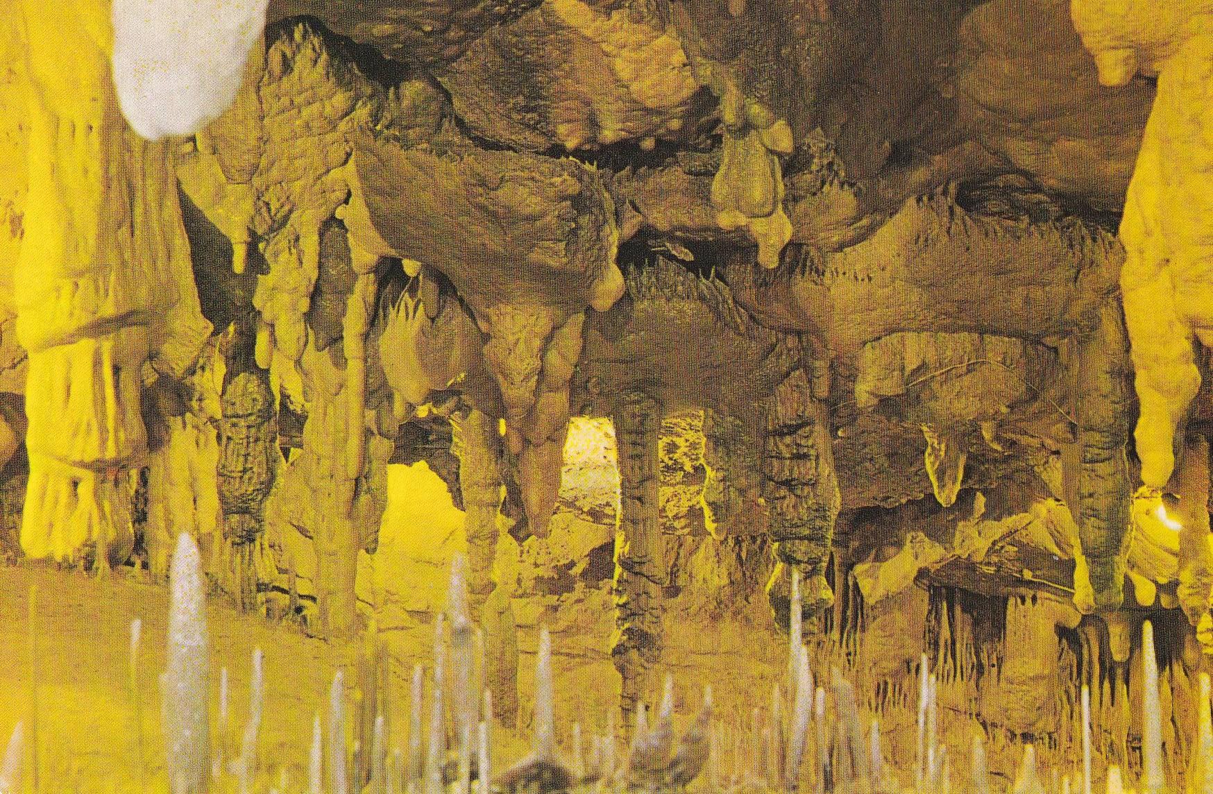 POSTAL B11127: CANTABRIA: CUEVAS DE ALTAMIRA