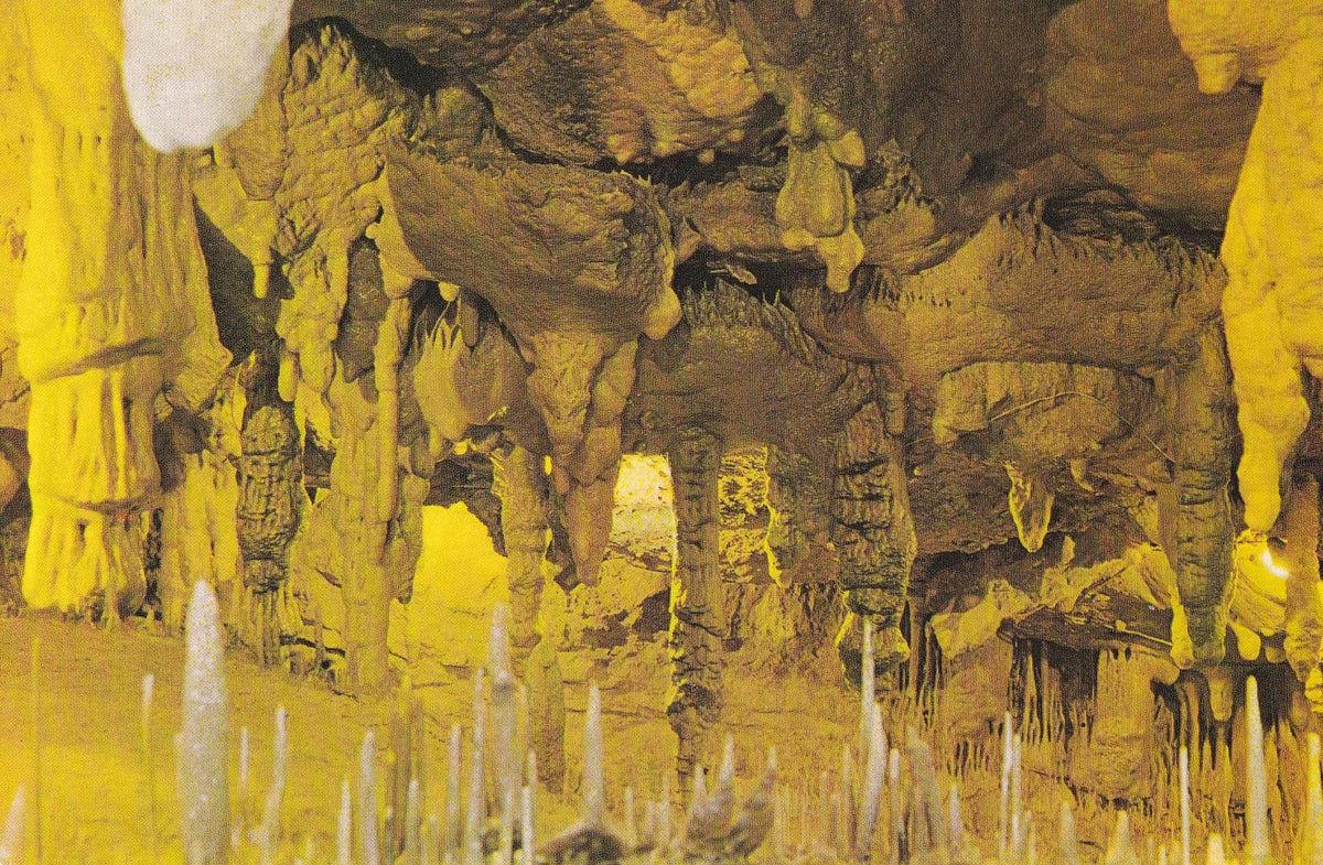 POSTAL B11127: CANTABRIA: CUEVAS DE ALTAMIRA
