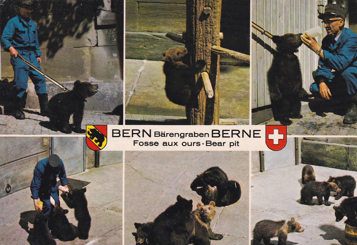 POSTAL B11158: BERNA: DIVERSOS ASPECTOS