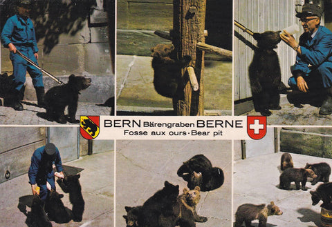 POSTAL B11158: BERNA: DIVERSOS ASPECTOS