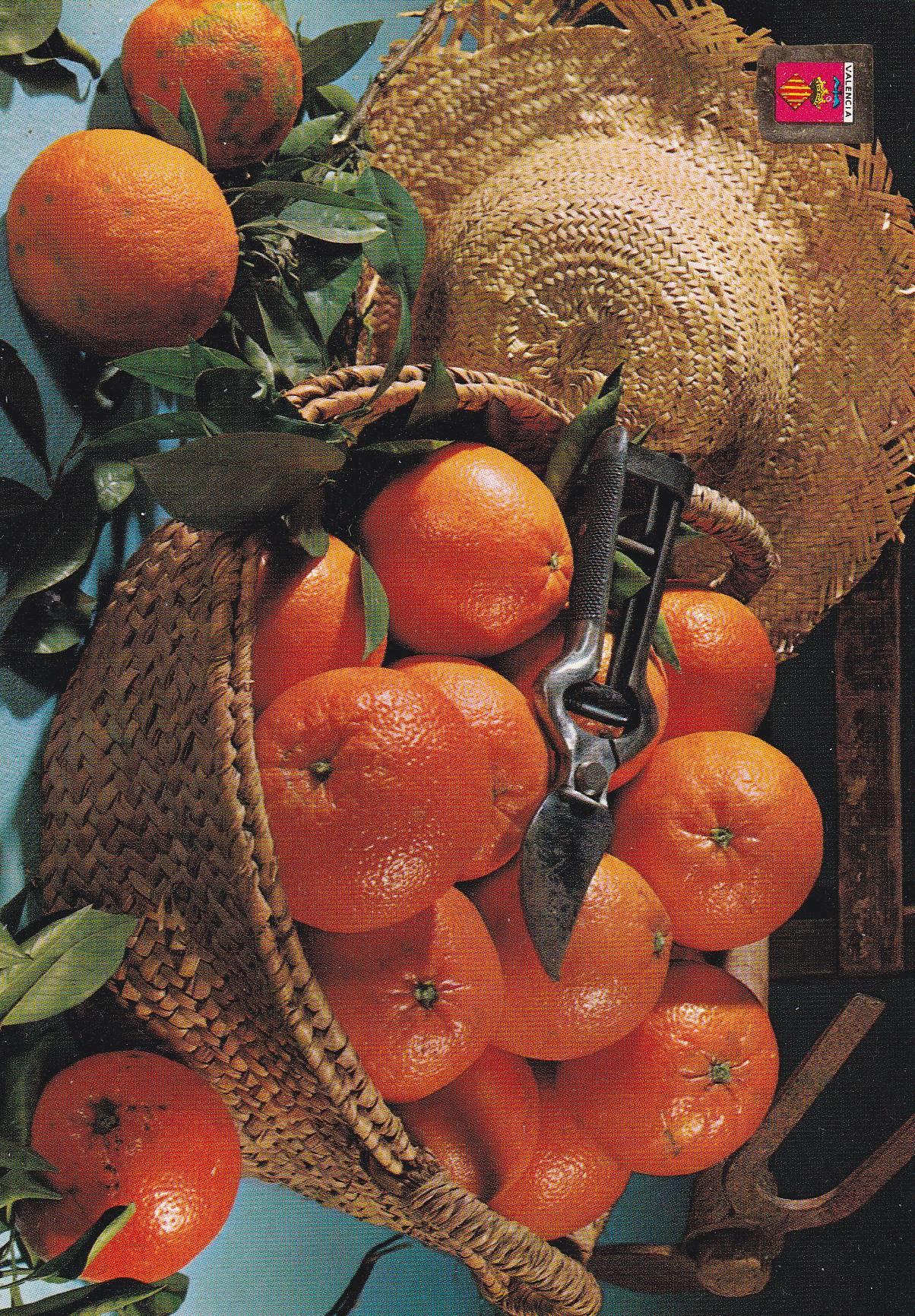 POSTAL B11189: VALENCIA: FRUTAS TIPICAS. NARANJAS