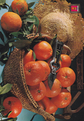 POSTAL B11189: VALENCIA: FRUTAS TIPICAS. NARANJAS