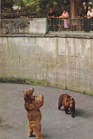 POSTAL B11219: ZOOLOGICO DE BERNA: DIVERSOS ASPECTOS