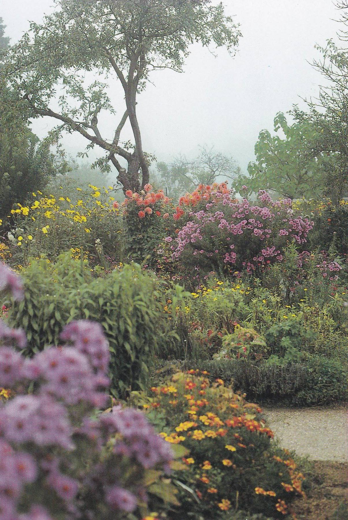 POSTAL B11254: MONET S GARDENS AT GIVERNY: DIVERSOS ASPECTOS