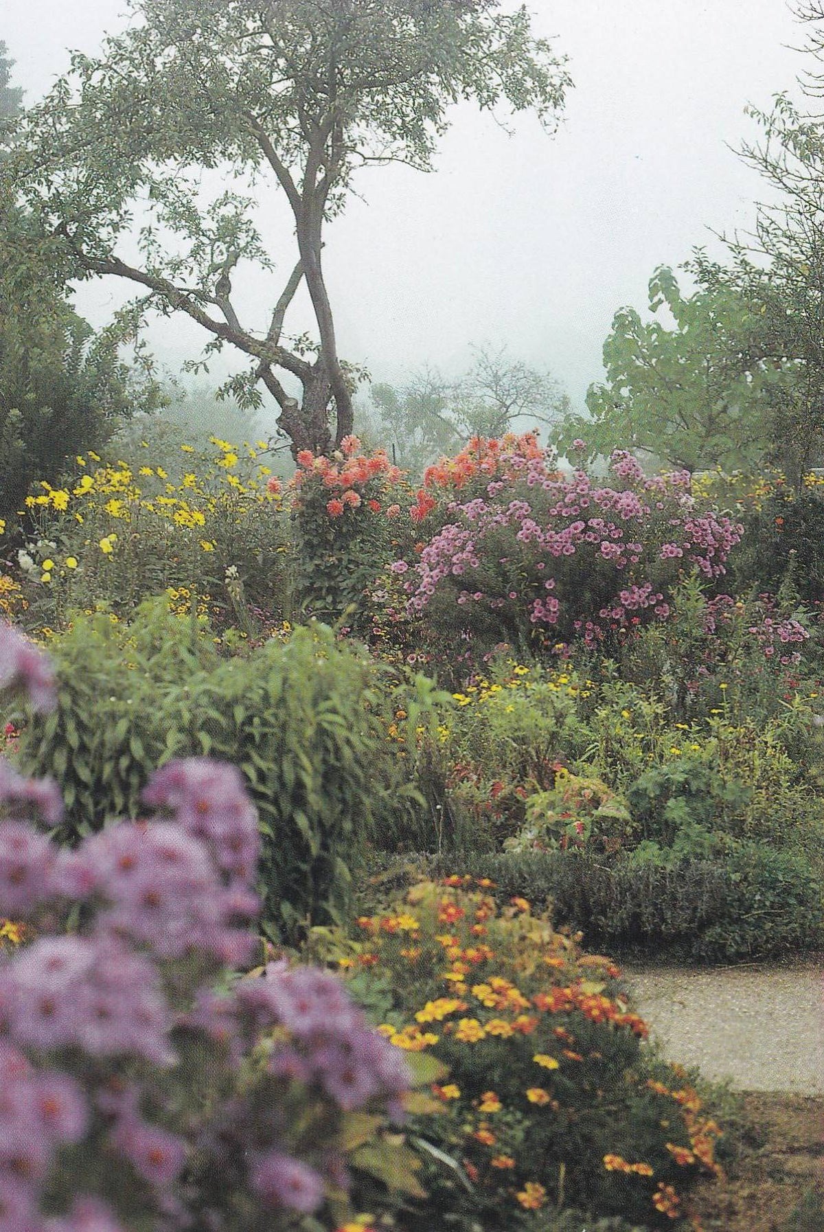 POSTAL B11254: MONET S GARDENS AT GIVERNY: DIVERSOS ASPECTOS