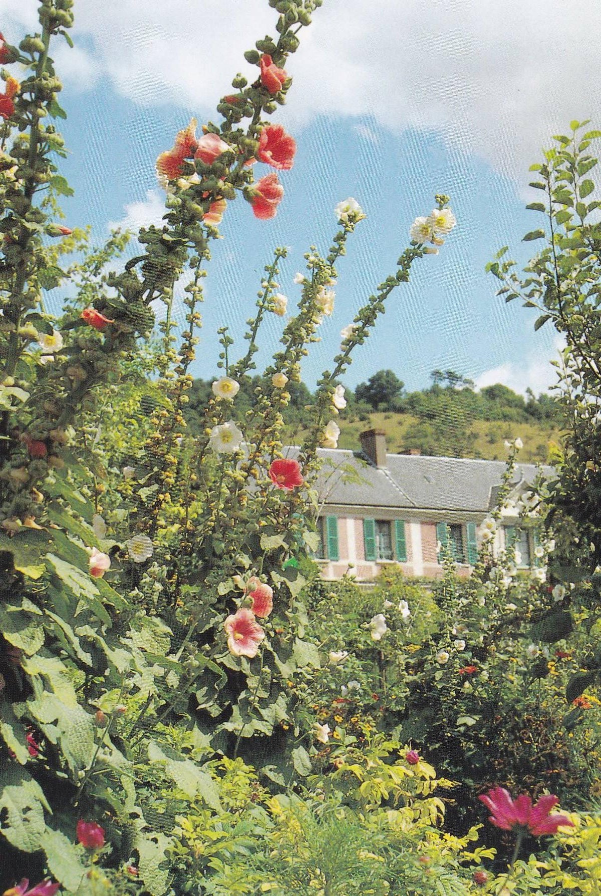 POSTAL B11258: MONET S GARDENS AT GIVERNY: DIVERSOS ASPECTOS