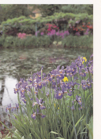 POSTAL B11259: MONET S GARDENS AT GIVERNY: DIVERSOS ASPECTOS