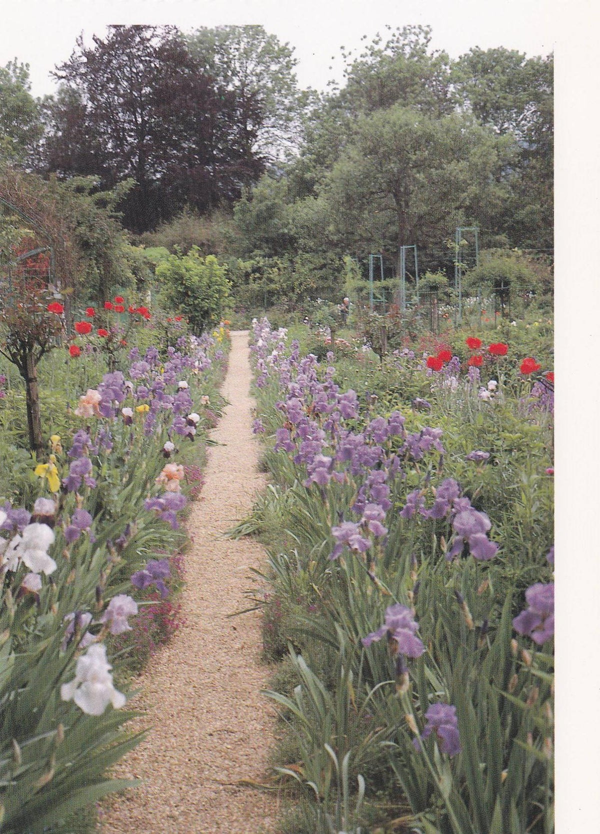 POSTAL B11261: MONET S GARDENS AT GIVERNY: DIVERSOS ASPECTOS