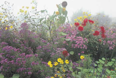 POSTAL B11262: MONET S GARDENS AT GIVERNY: DIVERSOS ASPECTOS