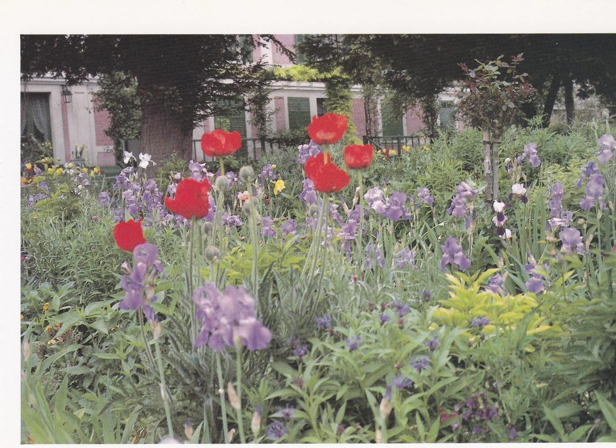 POSTAL B11265: MONET S GARDENS AT GIVERNY: DIVERSOS ASPECTOS