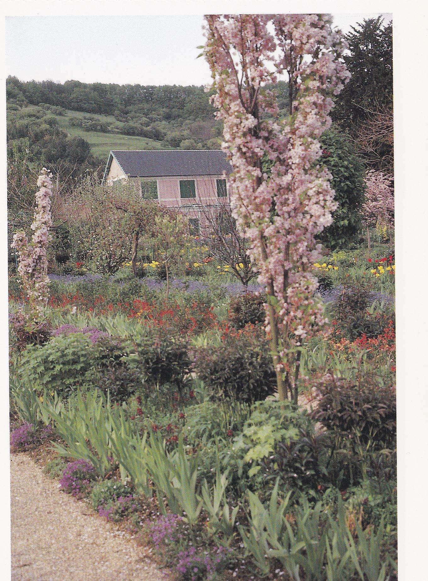 POSTAL B11267: MONET S GARDENS AT GIVERNY: DIVERSOS ASPECTOS