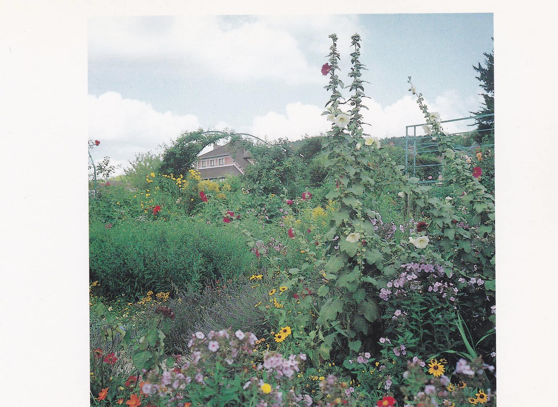 POSTAL B11269: MONET S GARDENS AT GIVERNY: DIVERSOS ASPECTOS