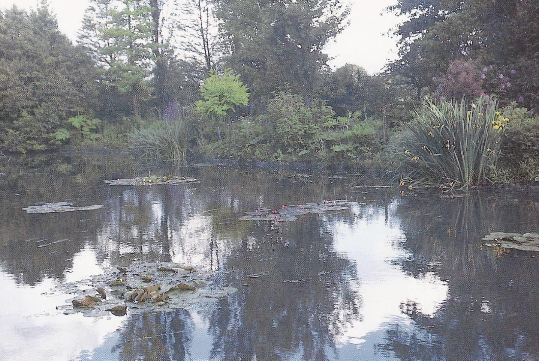 POSTAL B11271: MONET S GARDENS AT GIVERNY: DIVERSOS ASPECTOS