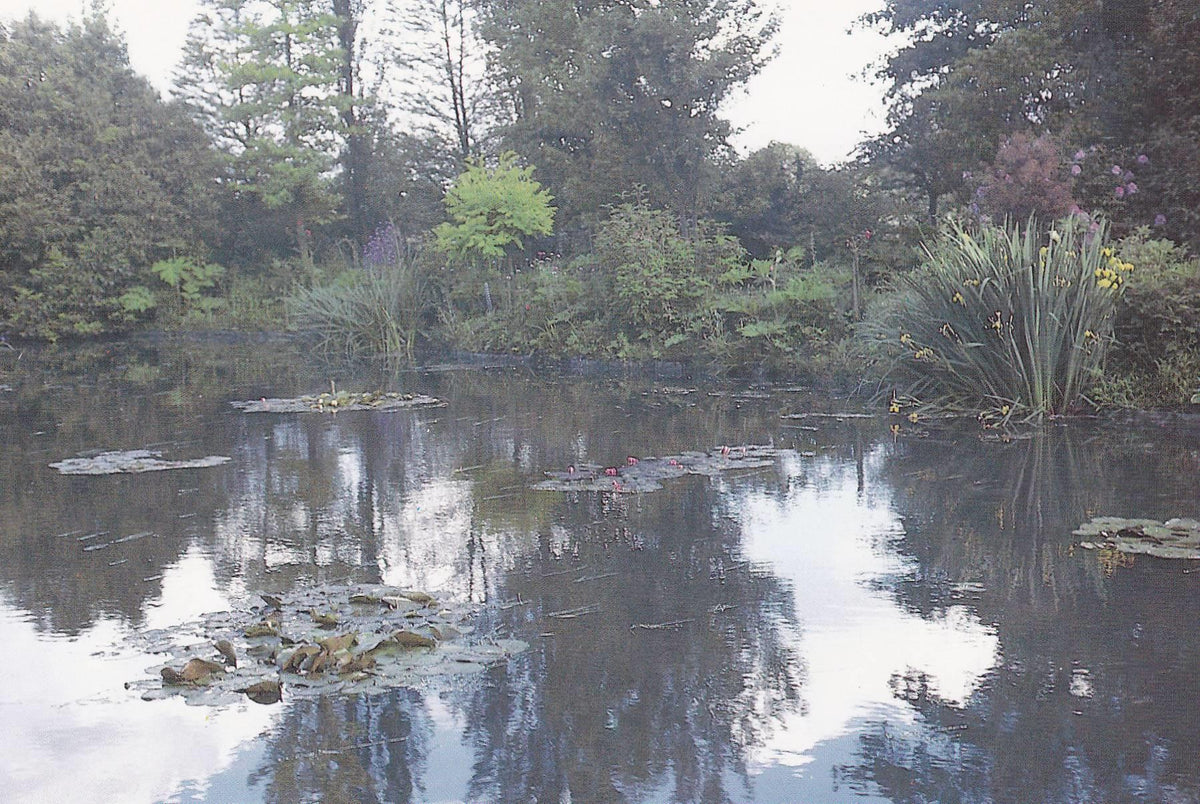 POSTAL B11271: MONET S GARDENS AT GIVERNY: DIVERSOS ASPECTOS