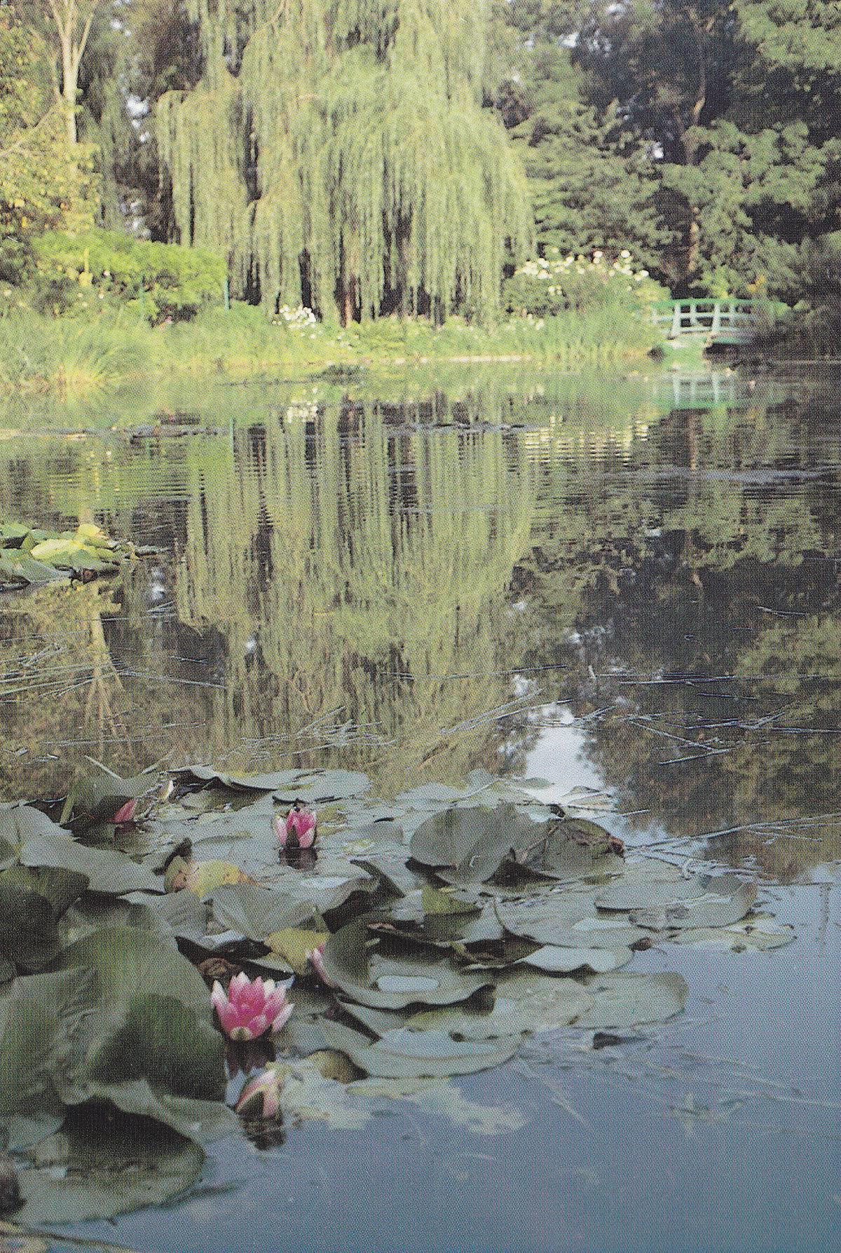 POSTAL B11273: MONET S GARDENS AT GIVERNY: DIVERSOS ASPECTOS