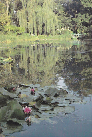 POSTAL B11273: MONET S GARDENS AT GIVERNY: DIVERSOS ASPECTOS