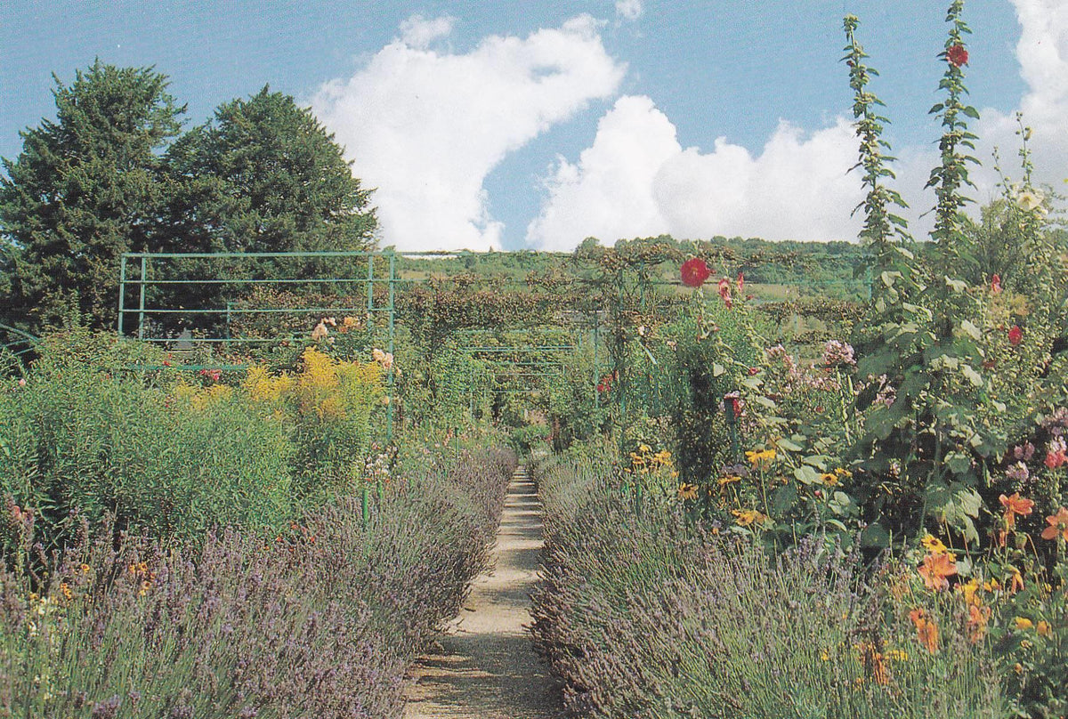 POSTAL B11276: MONET S GARDENS AT GIVERNY: DIVERSOS ASPECTOS