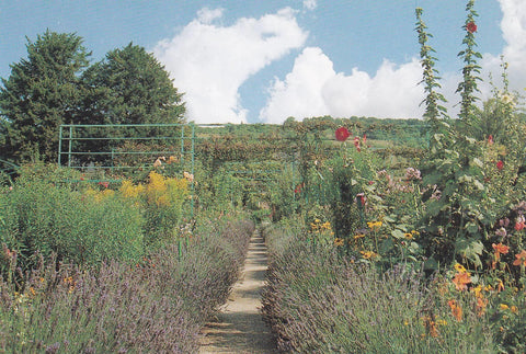 POSTAL B11276: MONET S GARDENS AT GIVERNY: DIVERSOS ASPECTOS