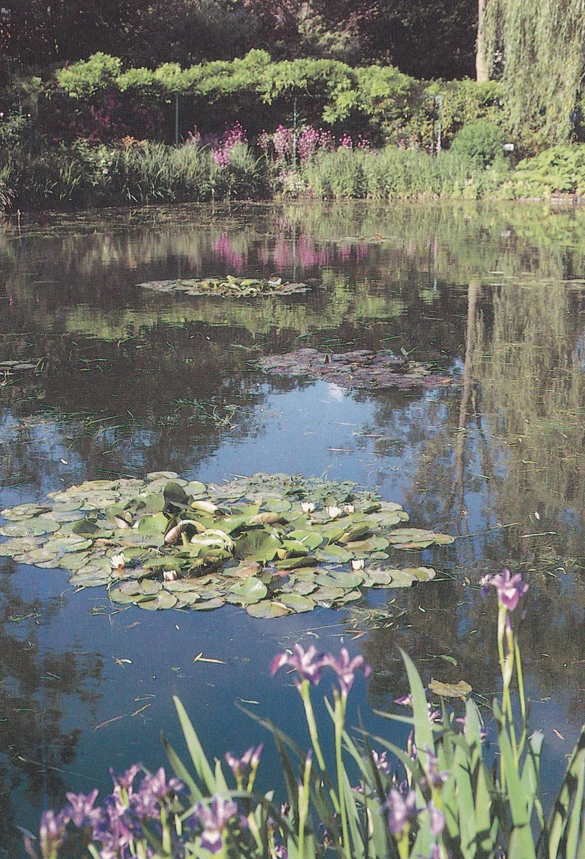 POSTAL B11277: MONET S GARDENS AT GIVERNY: DIVERSOS ASPECTOS