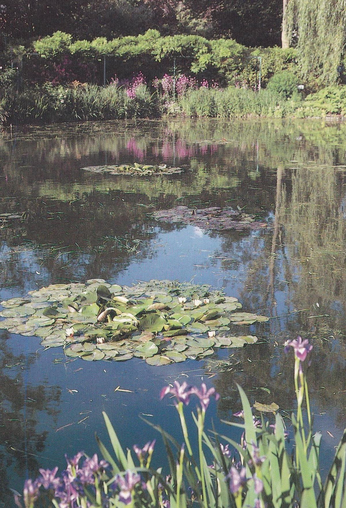 POSTAL B11277: MONET S GARDENS AT GIVERNY: DIVERSOS ASPECTOS