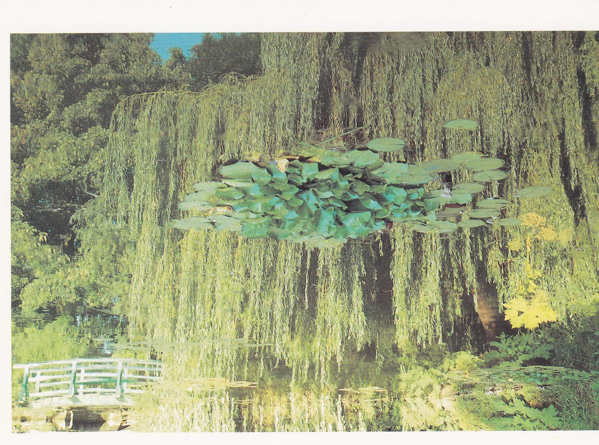 POSTAL B11279: MONET S GARDENS AT GIVERNY: DIVERSOS ASPECTOS