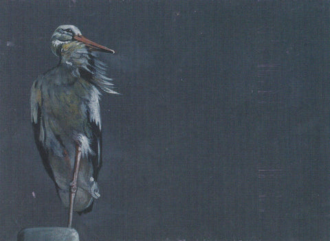 POSTAL B11291: PINTURA ANDALUZA: DIA MUNDIAL DE LAS AVES. FINALISTAS. DIVERSOS ASPECTOS