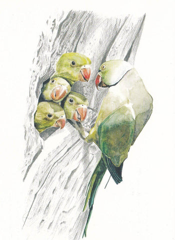 POSTAL B11292: PINTURA ANDALUZA: DIA MUNDIAL DE LAS AVES. FINALISTAS. DIVERSOS ASPECTOS