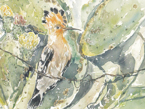 POSTAL B11294: PINTURA ANDALUZA: DIA MUNDIAL DE LAS AVES. FINALISTAS. DIVERSOS ASPECTOS
