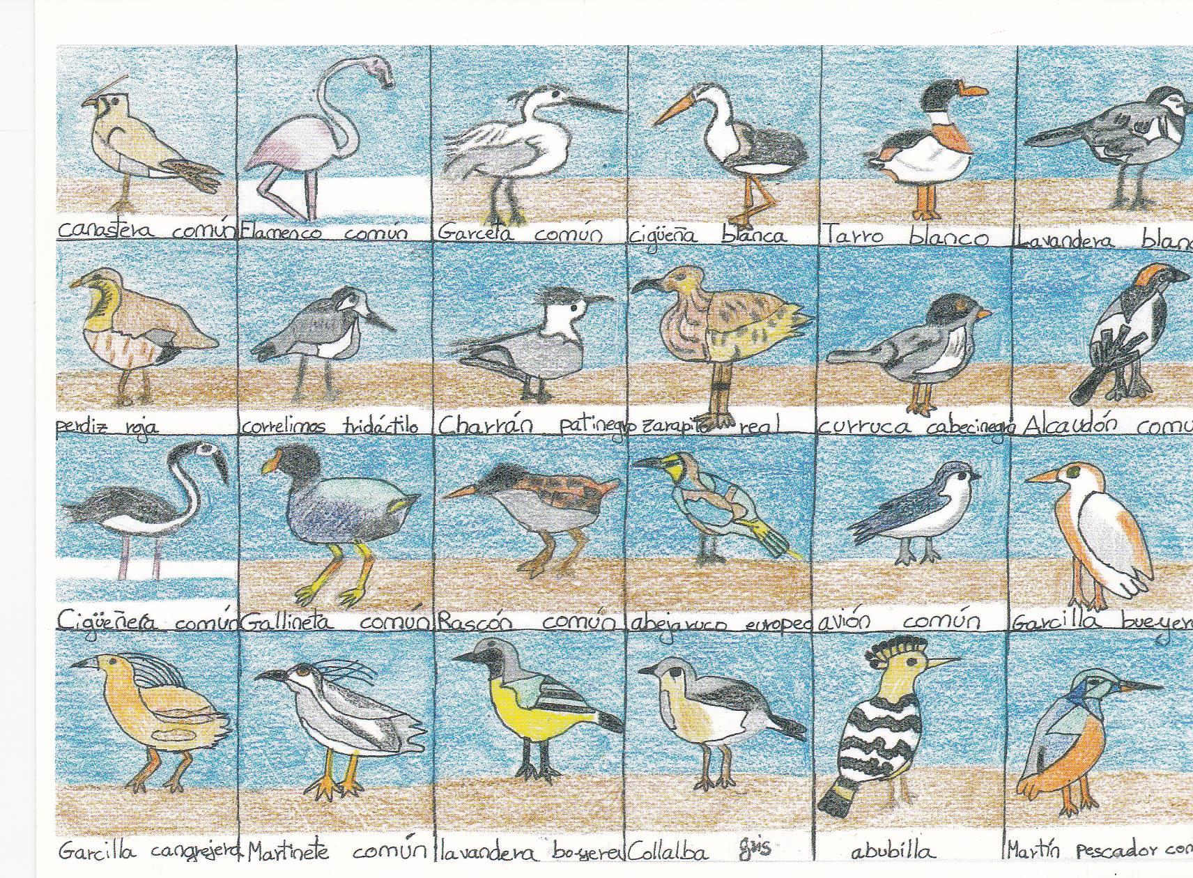 POSTAL B11295: PINTURA ANDALUZA: DIA MUNDIAL DE LAS AVES. FINALISTAS. DIVERSOS ASPECTOS
