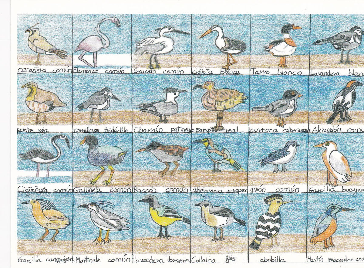POSTAL B11295: PINTURA ANDALUZA: DIA MUNDIAL DE LAS AVES. FINALISTAS. DIVERSOS ASPECTOS
