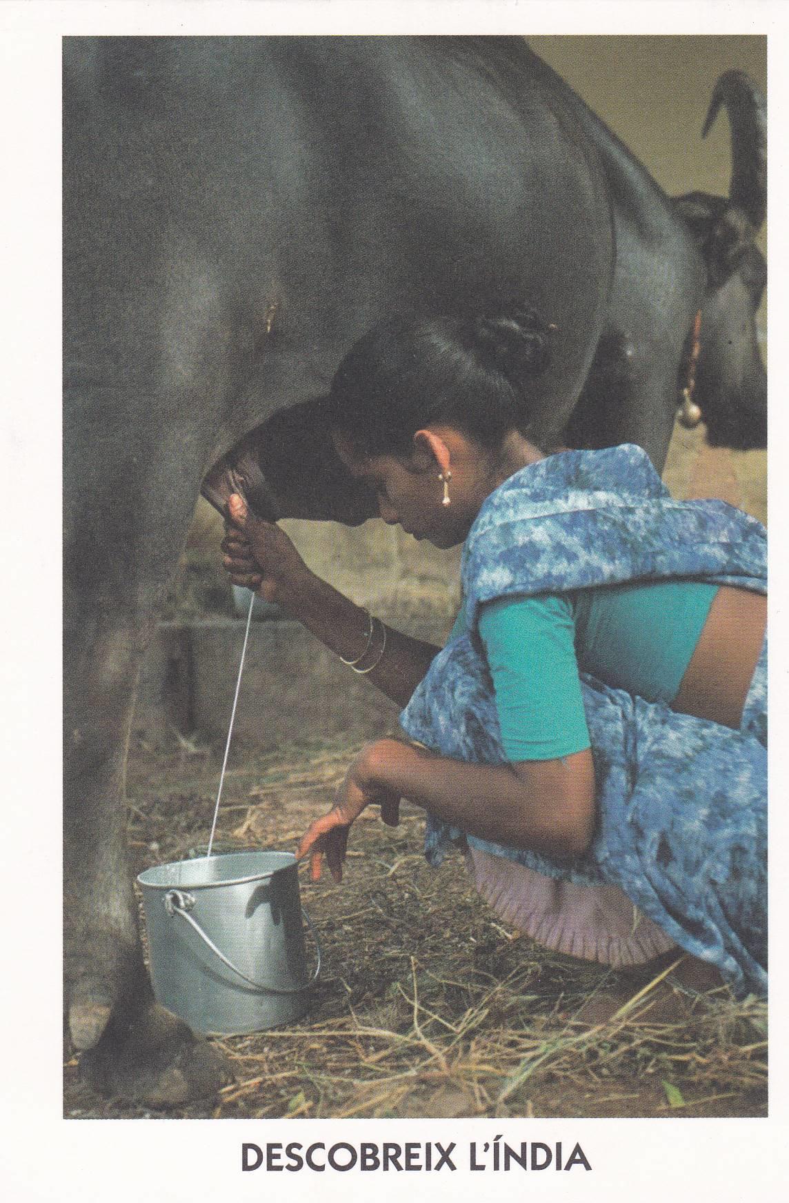 POSTAL B11370: AGAFA: DESCUBRE LA INDIA