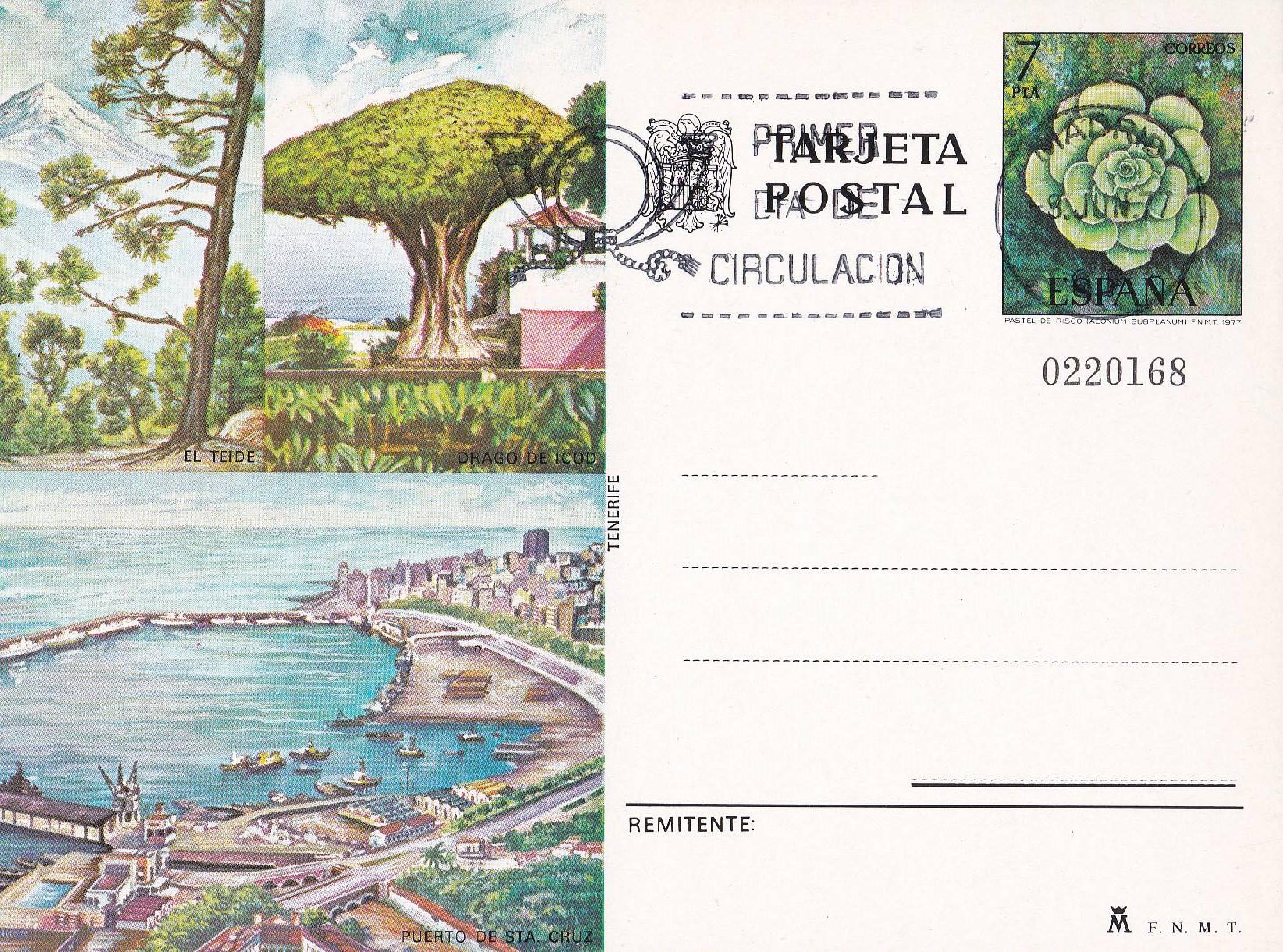 POSTAL B11551: El Teide, Drago de Icod y Puerto de Santa Cruz en Tenerife