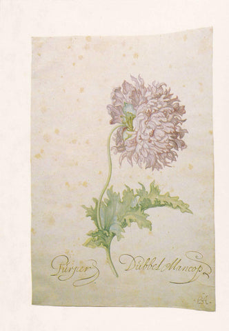 POSTAL B11639: FLOWER PAINTING BOOK OF 30 POSTCARDS: DIFERENTES ARTISTAS. DIVERSOS MUSEOS. DIVERSOS ASPECTOS