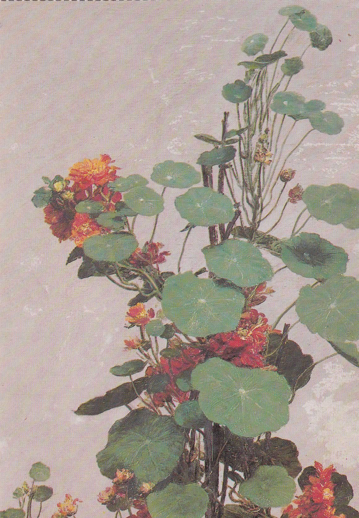 POSTAL B11647: FLOWER PAINTING BOOK OF 30 POSTCARDS: DIFERENTES ARTISTAS. DIVERSOS MUSEOS. DIVERSOS ASPECTOS