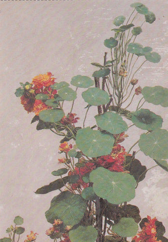 POSTAL B11647: FLOWER PAINTING BOOK OF 30 POSTCARDS: DIFERENTES ARTISTAS. DIVERSOS MUSEOS. DIVERSOS ASPECTOS