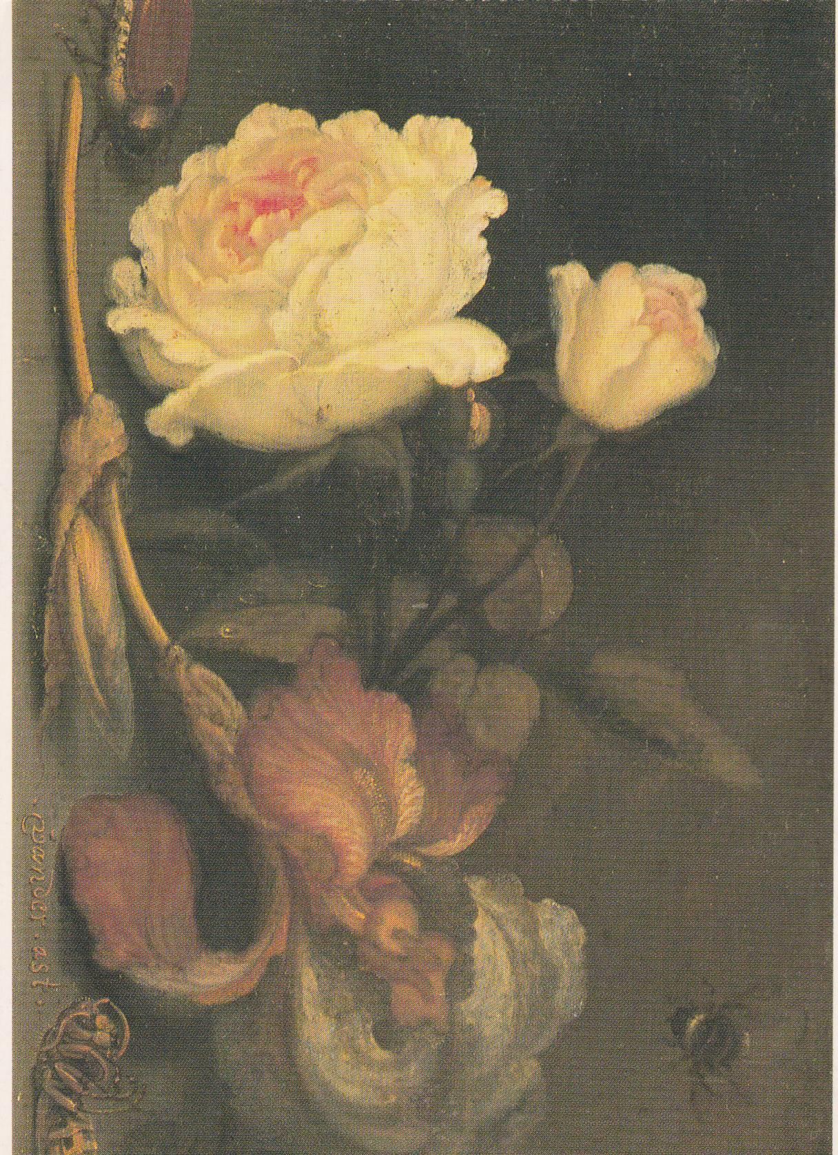 POSTAL B11658: FLOWER PAINTING BOOK OF 30 POSTCARDS: DIFERENTES ARTISTAS. DIVERSOS MUSEOS. DIVERSOS ASPECTOS