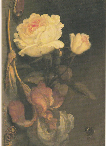 POSTAL B11658: FLOWER PAINTING BOOK OF 30 POSTCARDS: DIFERENTES ARTISTAS. DIVERSOS MUSEOS. DIVERSOS ASPECTOS