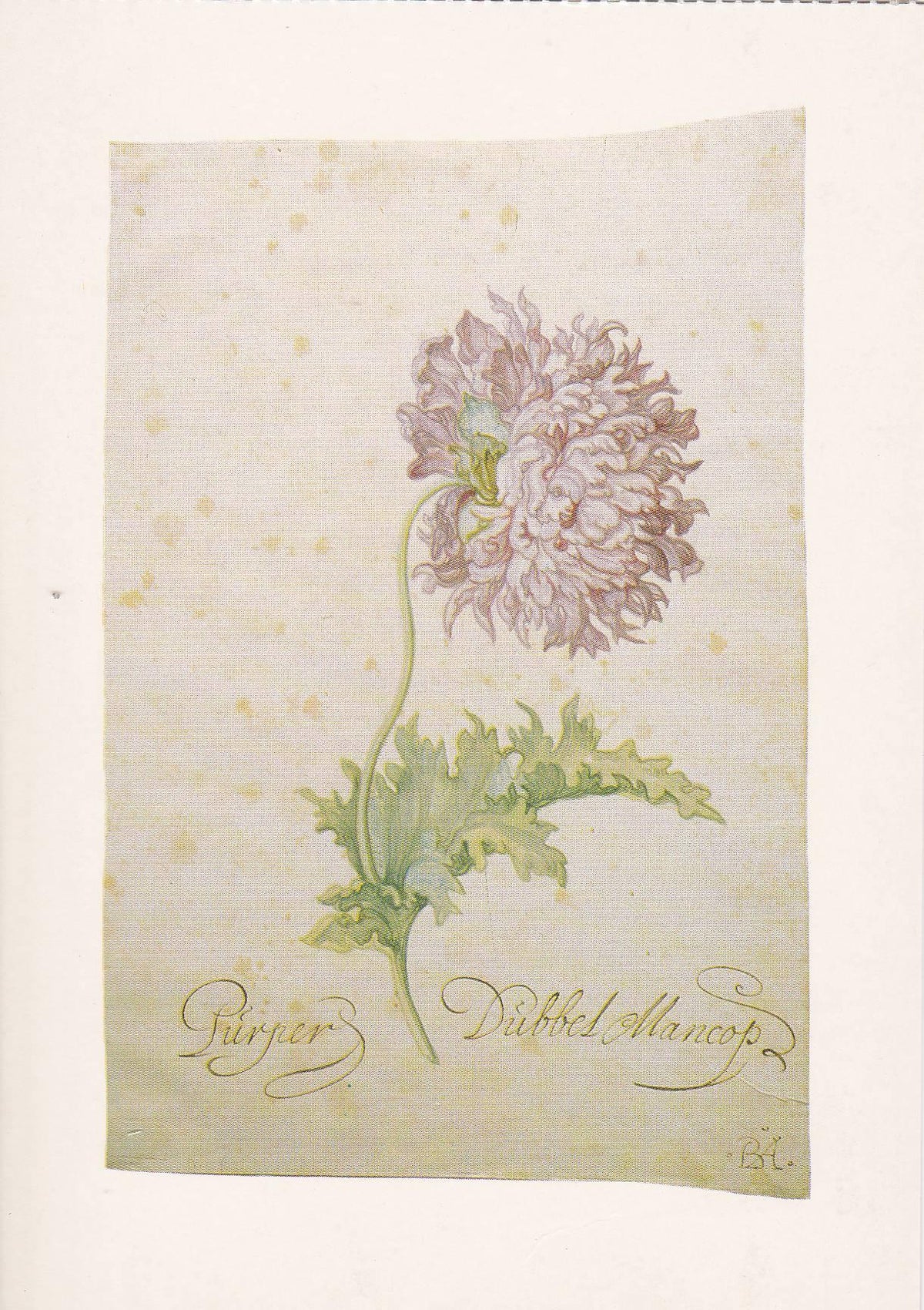 POSTAL B11664: FLOWER PAINTING BOOK OF 30 POSTCARDS: DIFERENTES ARTISTAS. DIVERSOS MUSEOS. DIVERSOS ASPECTOS