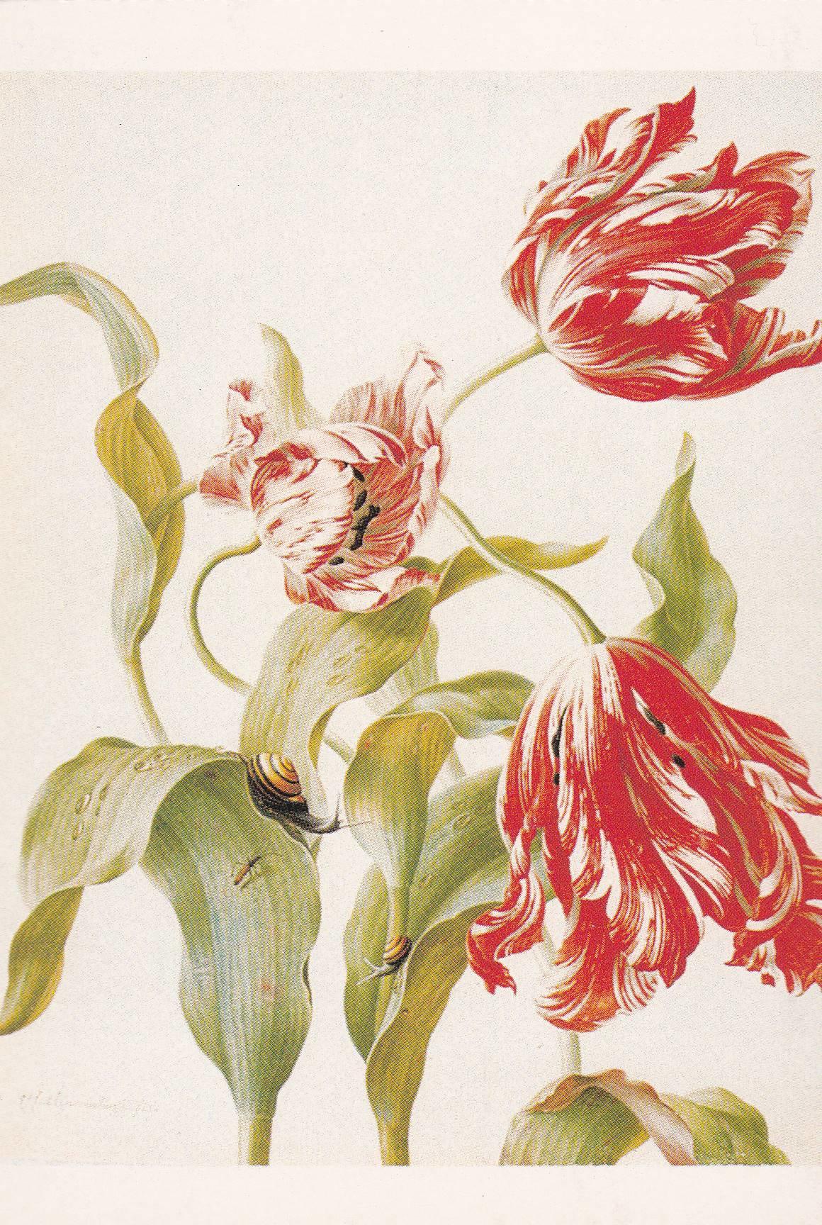 POSTAL B11665: FLOWER PAINTING BOOK OF 30 POSTCARDS: DIFERENTES ARTISTAS. DIVERSOS MUSEOS. DIVERSOS ASPECTOS