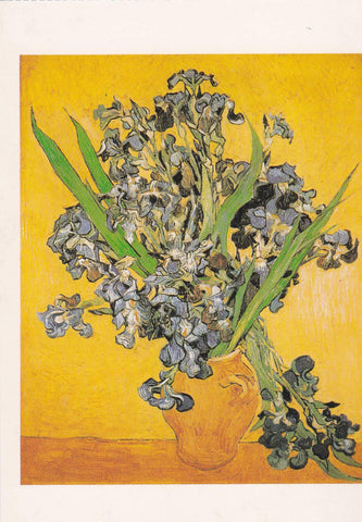 POSTAL B11667: FLOWER PAINTING BOOK OF 30 POSTCARDS: DIFERENTES ARTISTAS. DIVERSOS MUSEOS. DIVERSOS ASPECTOS