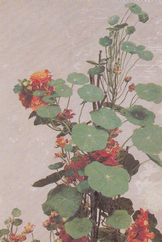 POSTAL B11673: FLOWER PAINTING BOOK OF 30 POSTCARDS: DIFERENTES ARTISTAS. DIVERSOS MUSEOS. DIVERSOS ASPECTOS