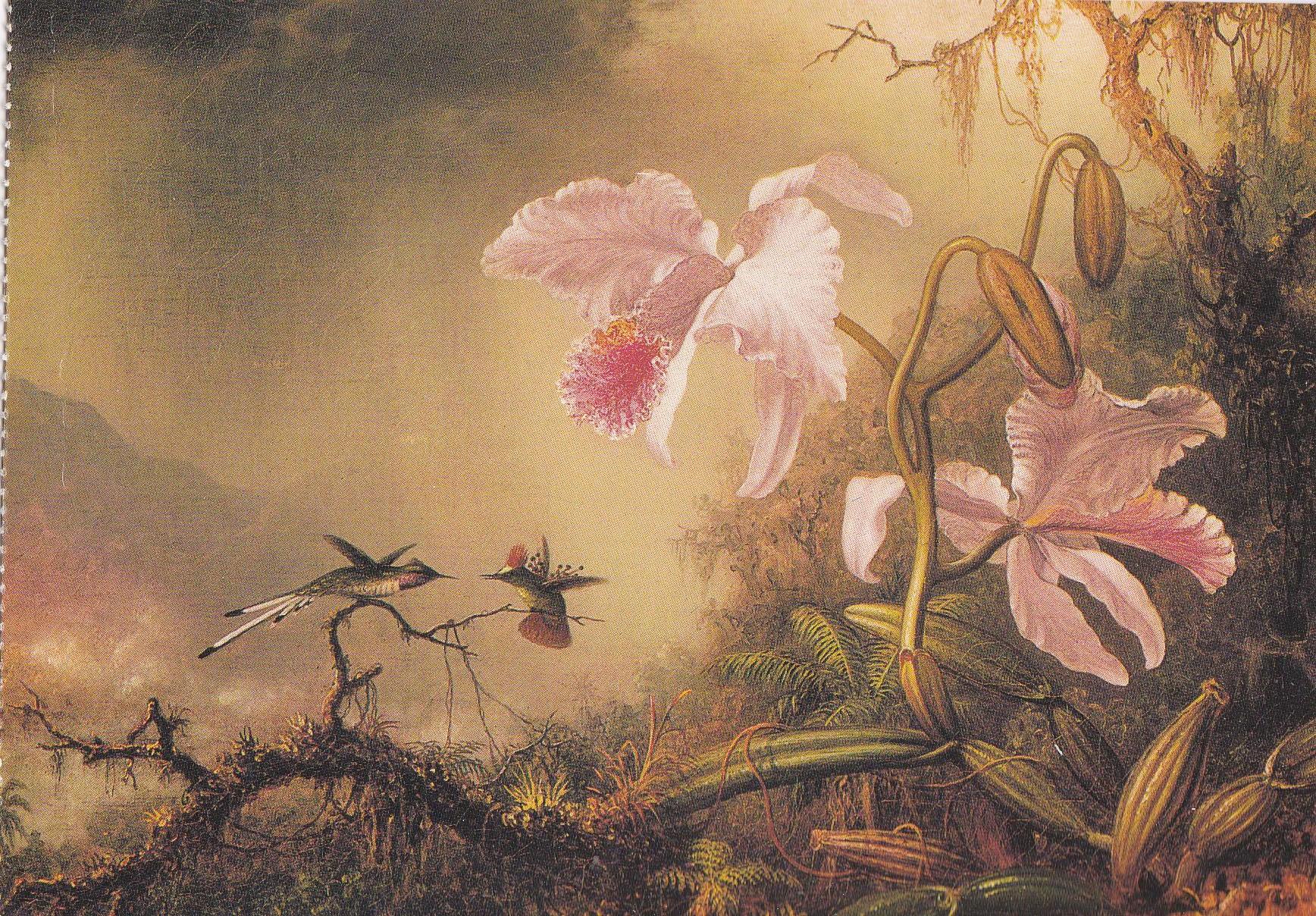 POSTAL B11684: FLOWER PAINTING BOOK OF 30 POSTCARDS: DIFERENTES ARTISTAS. DIVERSOS MUSEOS. DIVERSOS ASPECTOS