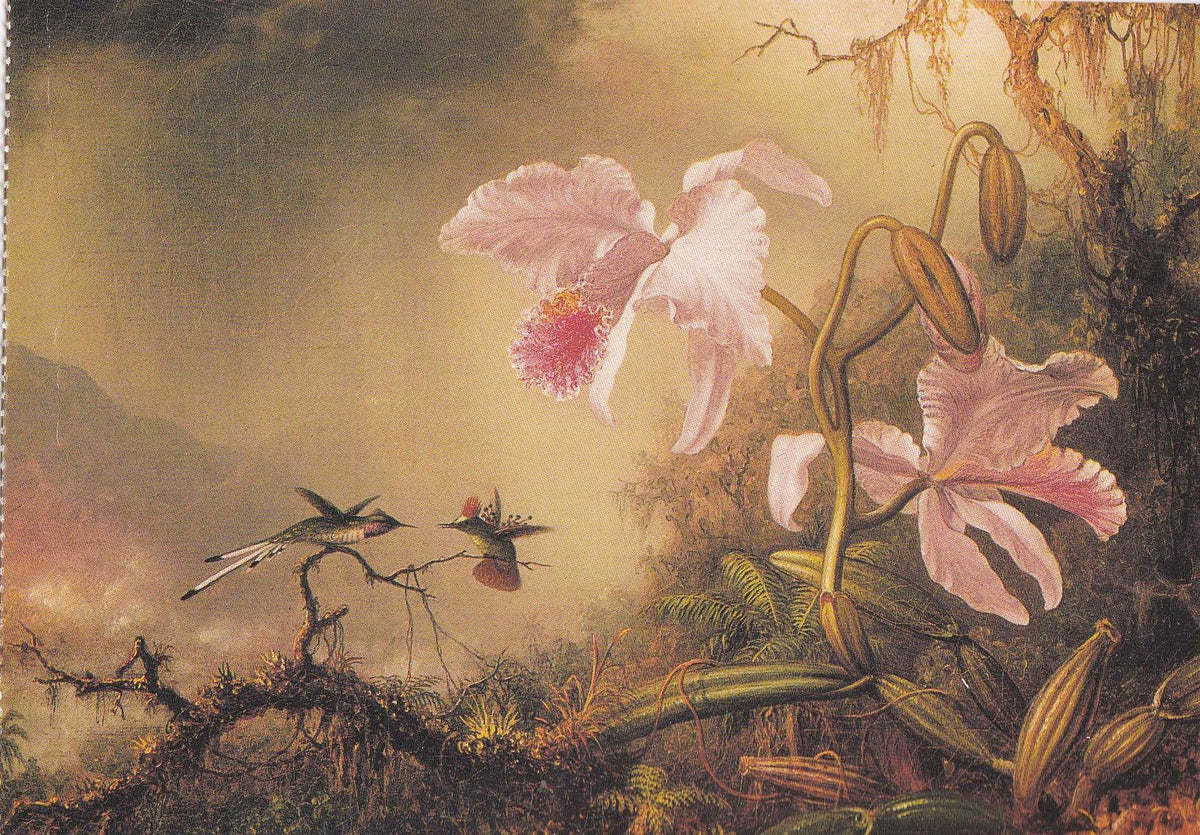 POSTAL B11684: FLOWER PAINTING BOOK OF 30 POSTCARDS: DIFERENTES ARTISTAS. DIVERSOS MUSEOS. DIVERSOS ASPECTOS